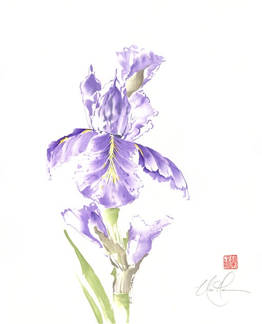 Artist Ann Rae As Before – Nan Rae Studio