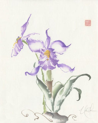 Cattleya