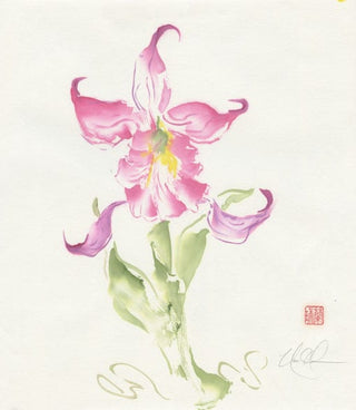 iris