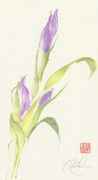 iris