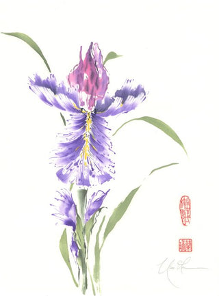 Purple Prince