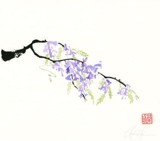 Jacaranda