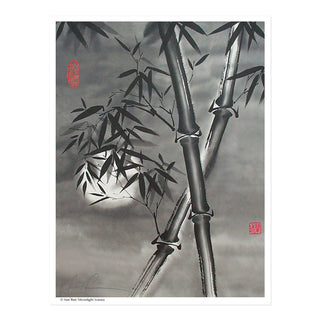 Moonlight Sonata Print by Nan Rae