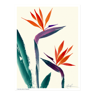 L1807 Bird of Paradise Print © Nan Rae