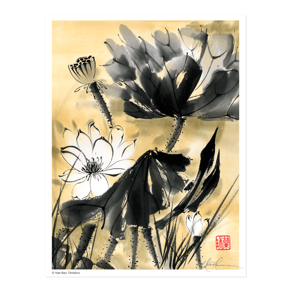 Timeless – Nan Rae Studio