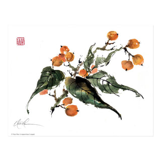 Loquacious Loquat Print by Nan Rae
