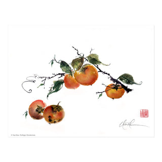 Perhaps Persimmon Print by Nan Rae