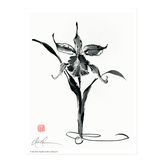 L2410 Studies in Ink: Cattleya II Print © Nan Rae