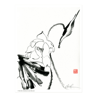 L2509 Sheltered Lotus Blossom Print © Nan Rae