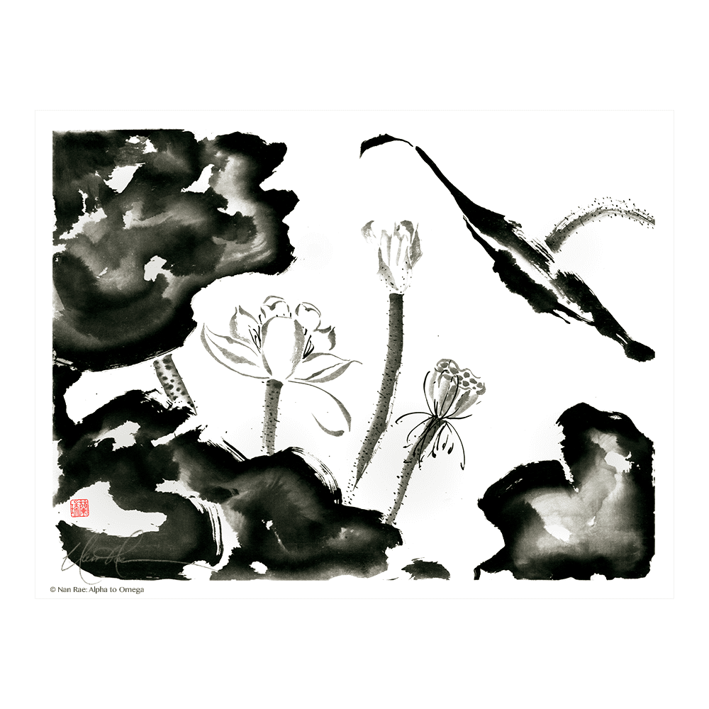 Studies in Ink: Alpha to Omega – Nan Rae Studio