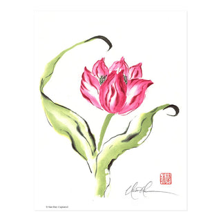 L2751 Captured Print by Nan Rae