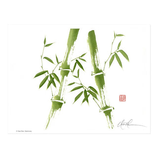 Bamboo print