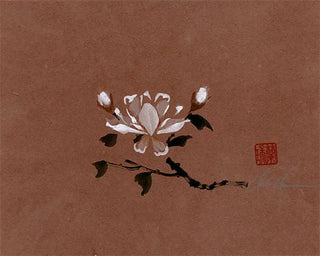 An Original White Magnolia painting by Nan Rae