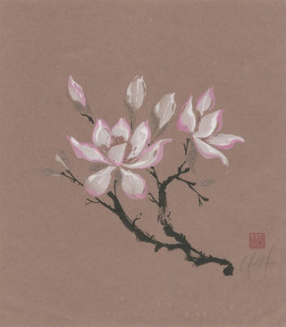 magnolia