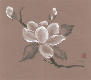 magnolia