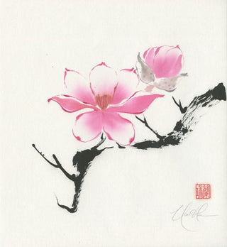 magnolia