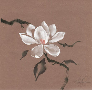 magnolia