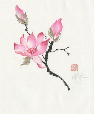 magnolia