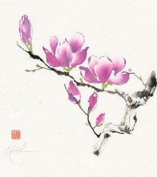 magnolia