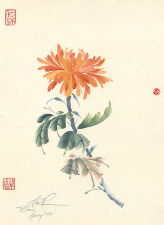 Bloom Spring 1984