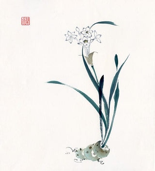 Narcissus painting