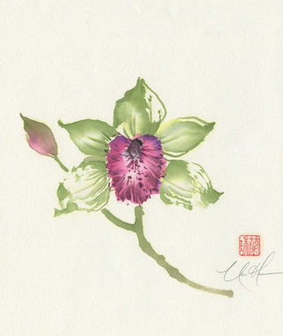 orchid