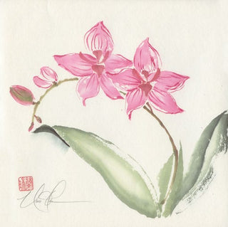orchid