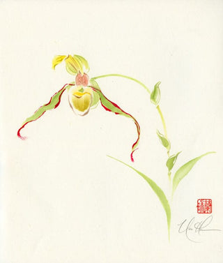 orchid