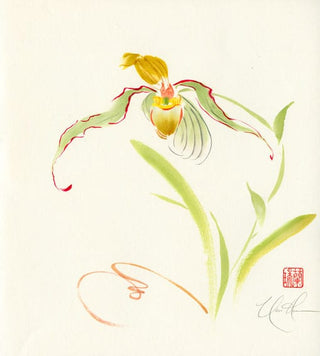 orchid