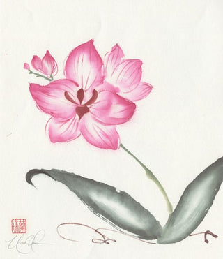 orchid