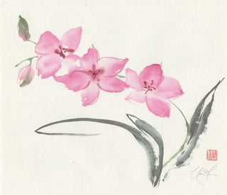 orchid