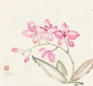 orchid