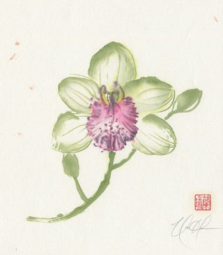 orchid