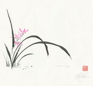 orchid