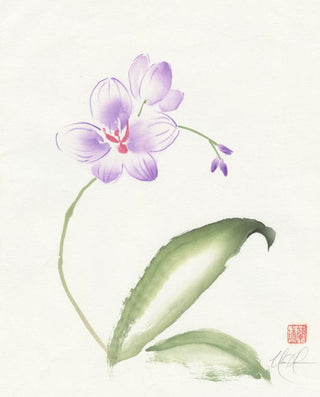 orchid