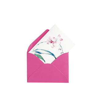 Orchid Gift Enclosures