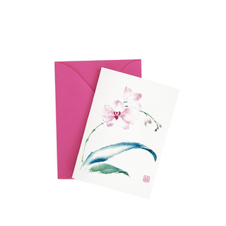 Orchid Gift Enclosure
