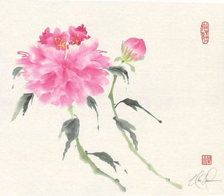 peonies