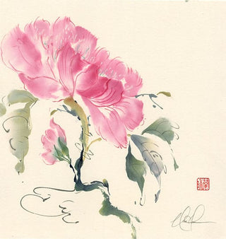 Peony painting by Nan Rae