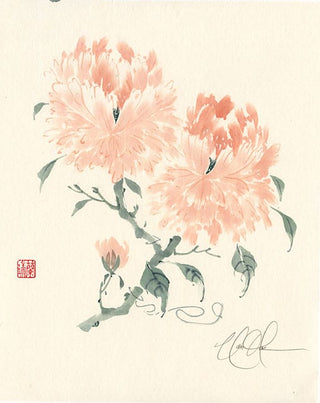 Peony Brush painting by Nan Rae