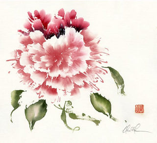 Peony Painting by Nan Rae