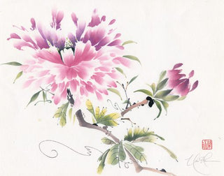Peony Pleasure VI