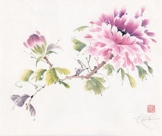 Peony Pleasure VII