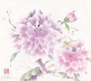 Peony Dream