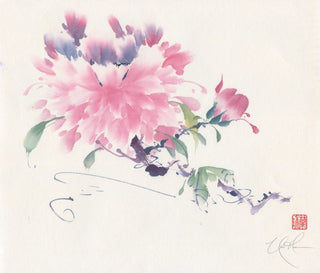 Peony Pleasure V