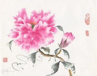 Peony Exuberance