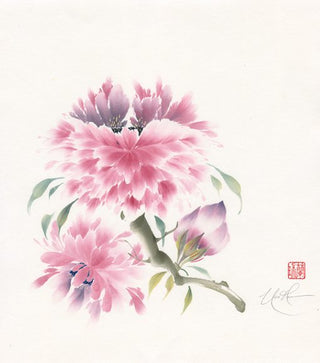Peony Pleasure II