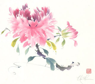 Peony Pleasure I