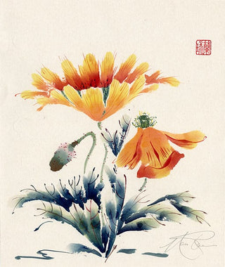 Poppy Painting by Nan Rae