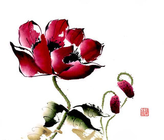 Poppy Painting